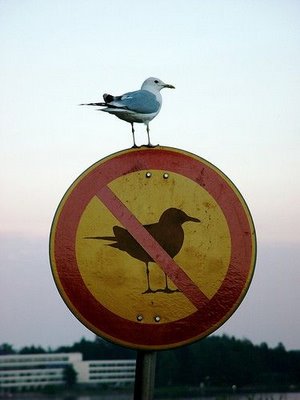 break-the-rules break-the-rules