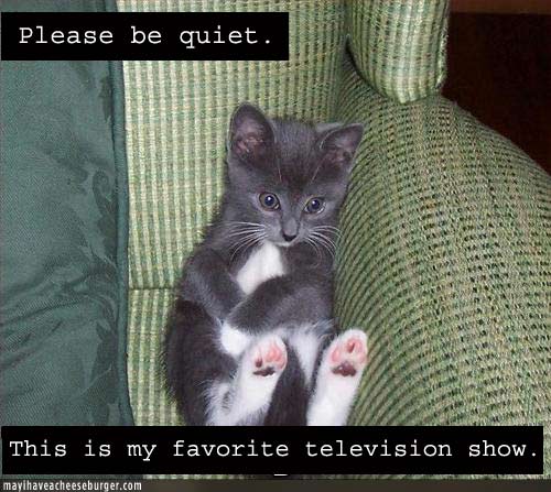 kitten-watch-tv2 Shhhhhh....