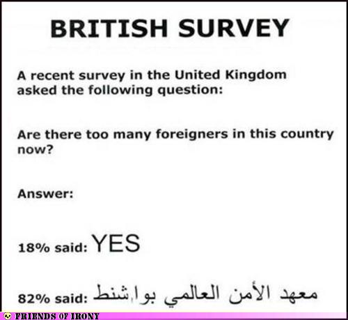 survey