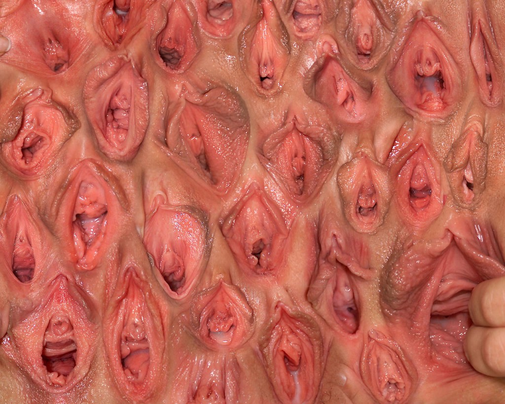 vagina wall Bunch of Cunts...