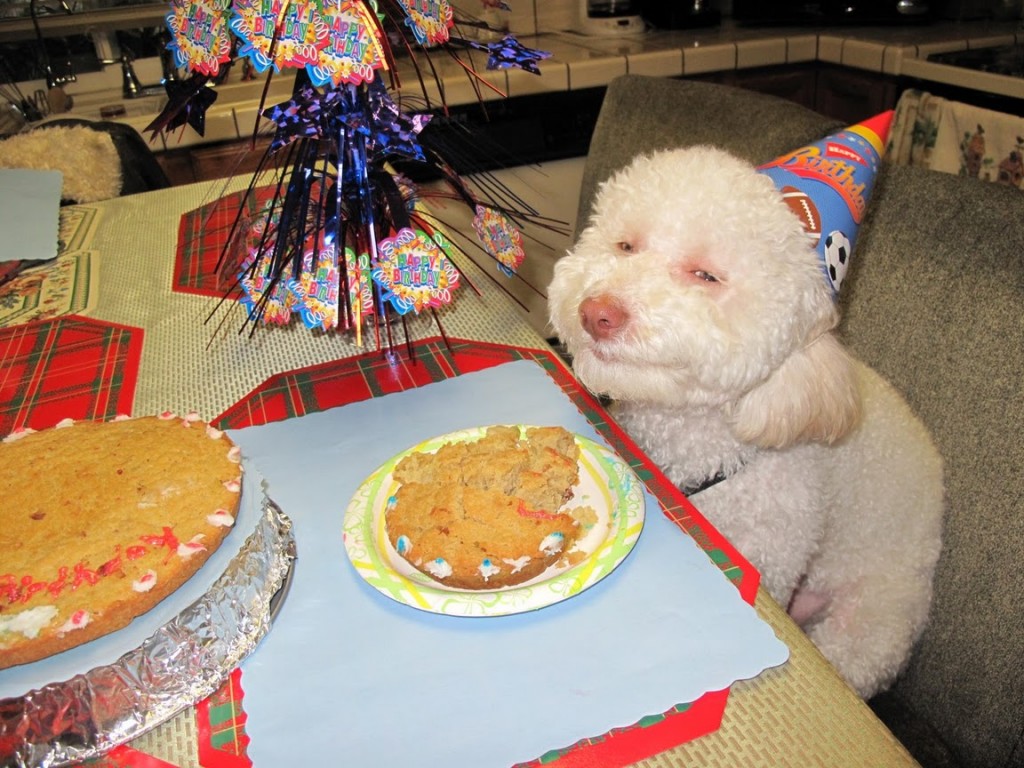 happydog